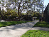 Enlarge photo 35