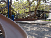 Enlarge photo 39