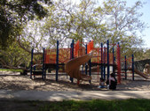 Enlarge photo 41