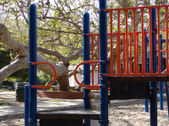 Enlarge photo 47