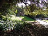 Enlarge photo 49