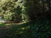 Enlarge photo 52