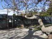 Enlarge photo 53