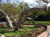 Enlarge photo 55