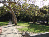 Enlarge photo 56