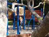 Enlarge photo 59