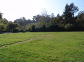 Enlarge photo 62