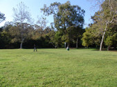 Enlarge photo 63