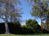 Enlarge photo 65