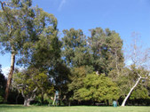 Enlarge photo 66