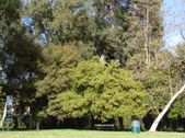 Enlarge photo 67