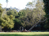 Enlarge photo 68