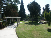 Enlarge photo 1