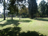 SINGER PARK