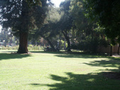 Enlarge photo 27