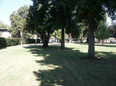 Enlarge photo 28
