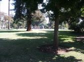 Enlarge photo 30