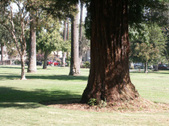 Enlarge photo 32