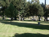 Enlarge photo 33