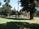Enlarge photo 35