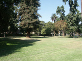 Enlarge photo 37