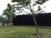 Enlarge photo 12