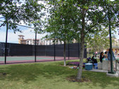 Enlarge photo 29