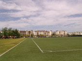 Enlarge photo 51