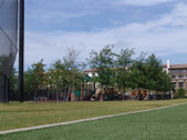 Enlarge photo 53