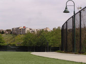 Enlarge photo 55