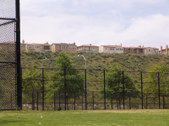 Enlarge photo 56