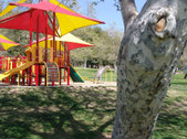 Enlarge photo 26