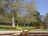 Enlarge photo 37
