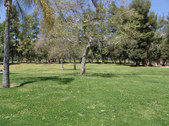 Enlarge photo 42
