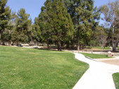 Enlarge photo 43