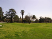 Enlarge photo 45
