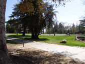 Enlarge photo 46