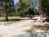 Enlarge photo 49