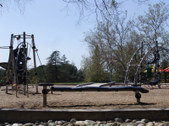 Enlarge photo 51