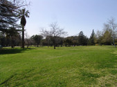 Enlarge photo 54
