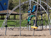 Enlarge photo 62
