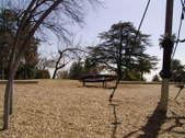 Enlarge photo 73