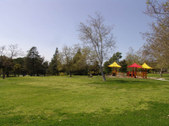 Enlarge photo 74