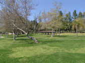 Enlarge photo 75