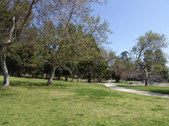 Enlarge photo 78