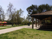 Enlarge photo 80