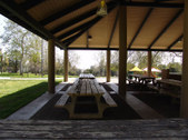 Enlarge photo 82