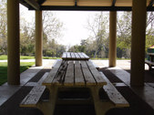 Enlarge photo 83