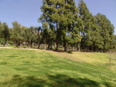Enlarge photo 85