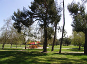 Enlarge photo 87